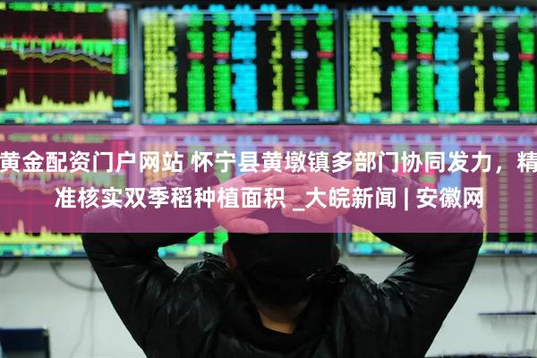 黄金配资门户网站 怀宁县黄墩镇多部门协同发力，精准核实双季稻种植面积 _大皖新闻 | 安徽网