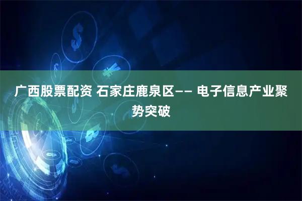 广西股票配资 石家庄鹿泉区—— 电子信息产业聚势突破