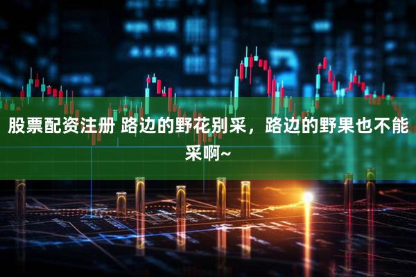 股票配资注册 路边的野花别采，路边的野果也不能采啊~